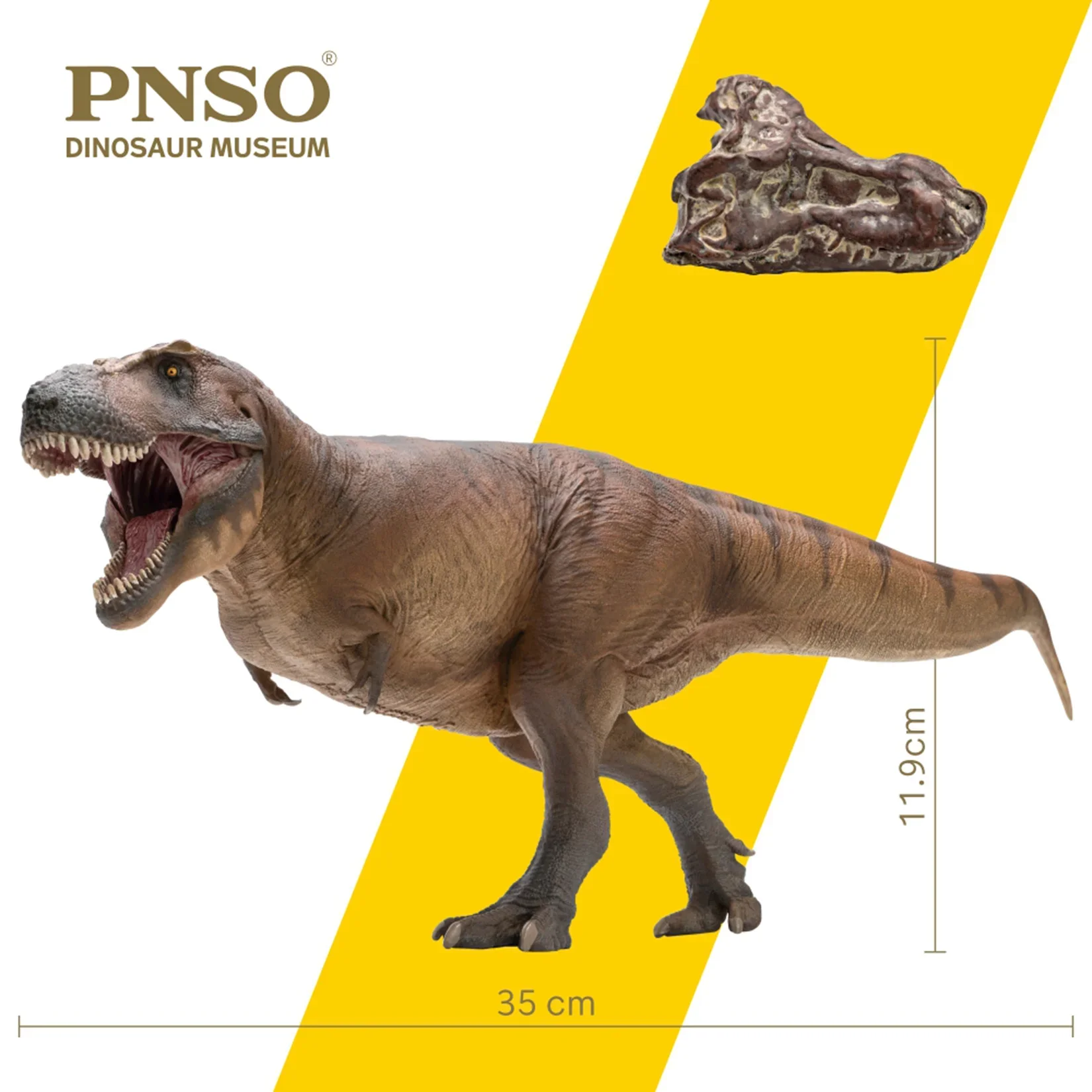 Resin Art Decoration Items - PNSO 1/35 ティラノサウルス・レックス カメロンモデル 史前動物博物館 恐竜コレクター