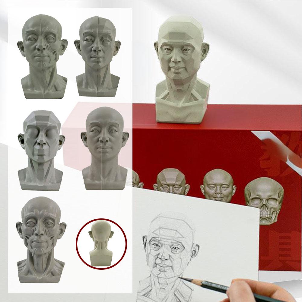 プラスターポートレート教育補助具、シミュレーションフラット、 - Resin Art Learning のレビューと価格