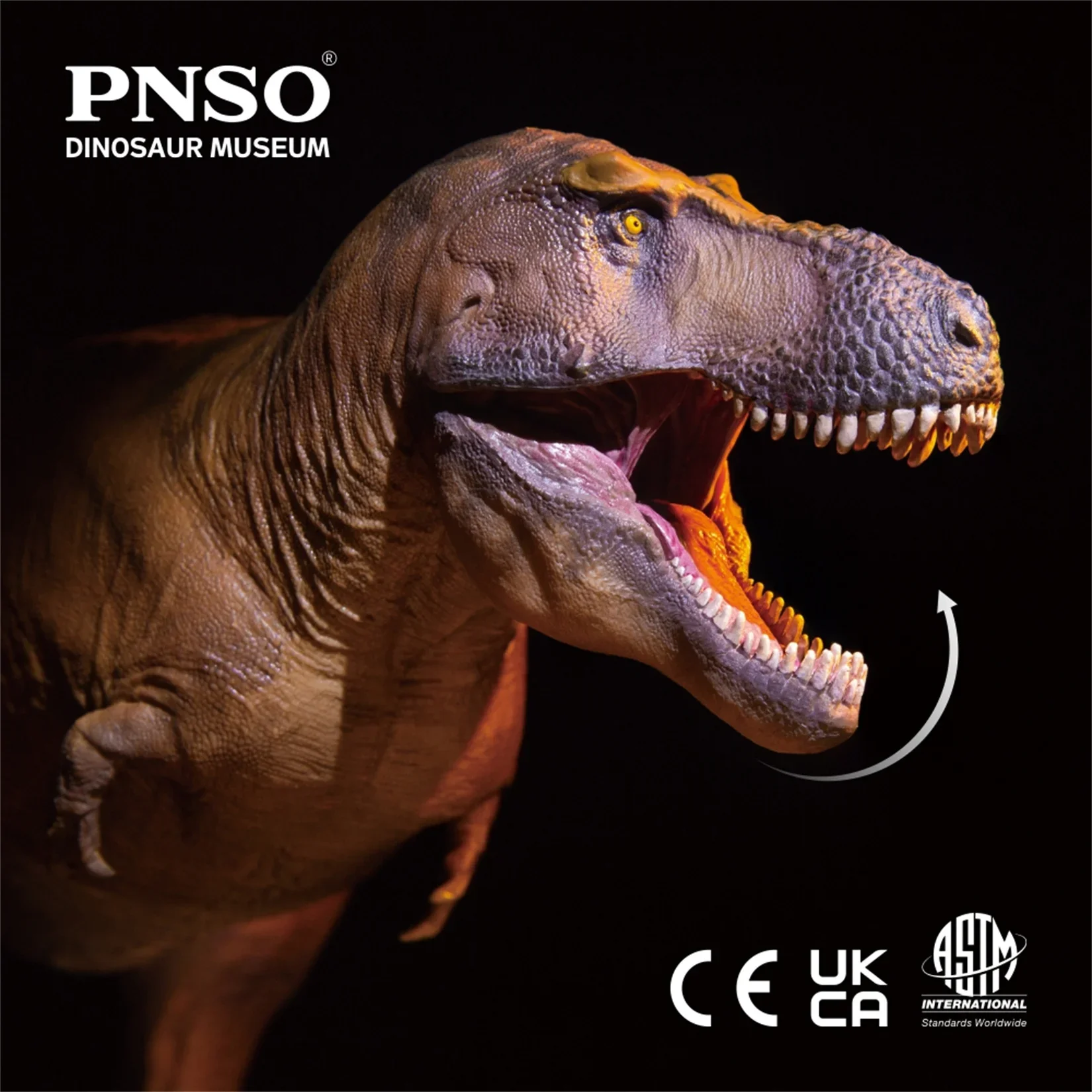PNSO 1/35 ティラノサウルス・レックス カメロンモデ - Resin Art Decoration Items のレビューと価格