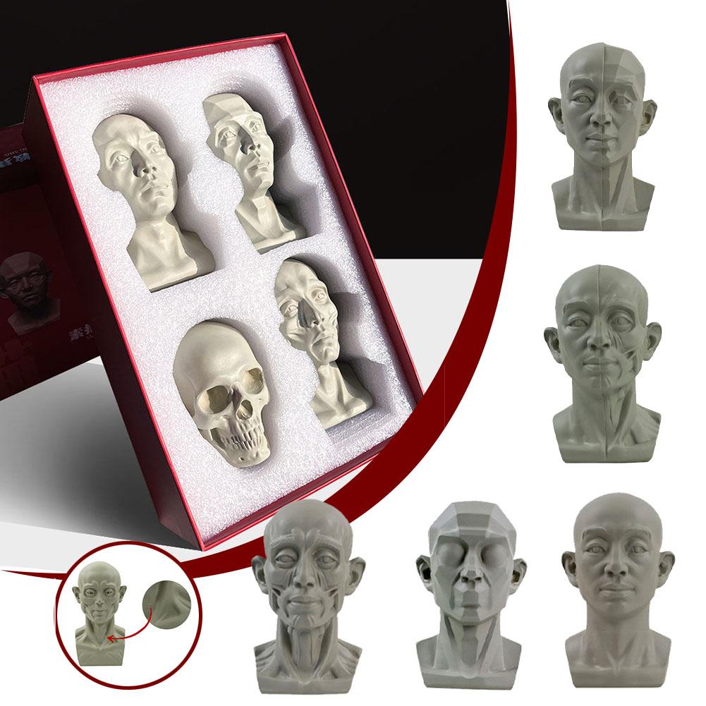 アート石膏ポートレート教材シミュレーションフラット石膏ツール - Resin Art Learning のレビューと価格